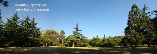 Artek-pan11-park-2008