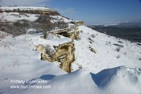 DSC08956