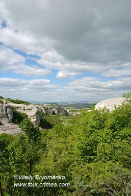 DSC04831