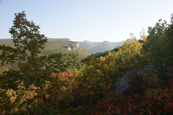 DSC01608