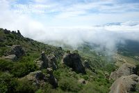 DSC00608