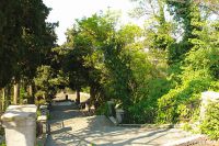 DSC00208