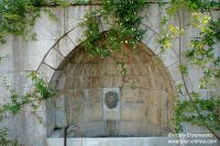 DSC00210