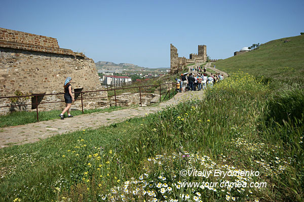DSC09496