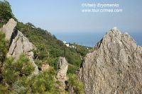 DSC09780