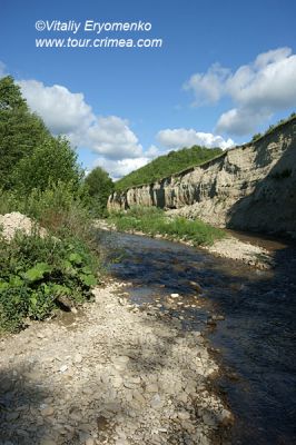 DSC09935