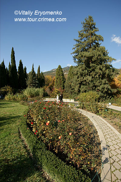 DSC08265