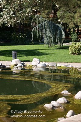 DSC06686