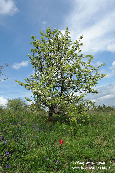 DSC09480