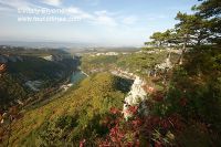 DSC05001