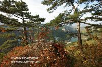 DSC05004