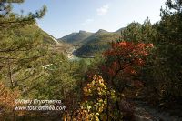 DSC05871