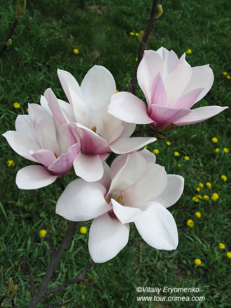 P1012408