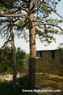 DSC02272