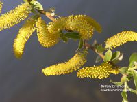 P1013428