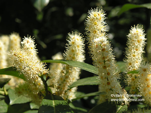 P1013592