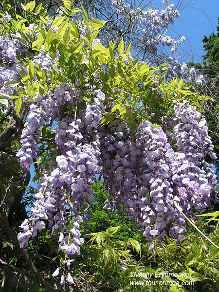P1015686