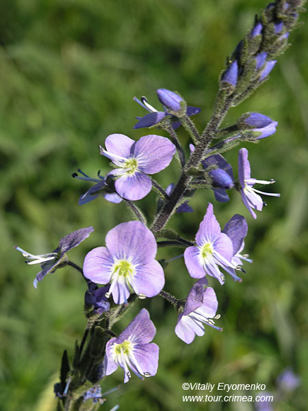 P1016960