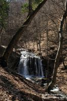 DSC05640