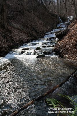 DSC05687