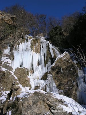 P1010675