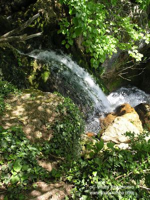 P1016556
