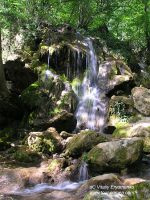 P1016689