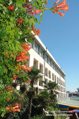 DSC07062