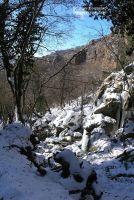 Su-Ushnan6