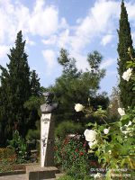 P1012833