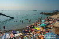 DSC08080