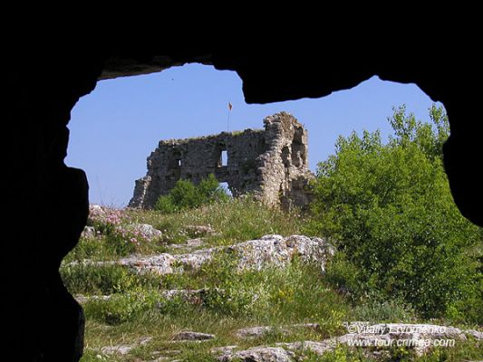 P6266445