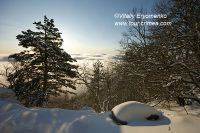 DSC00848