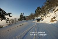 DSC00856
