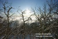 DSC00859