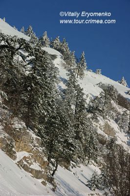 DSC00901