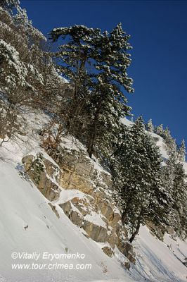 DSC00908