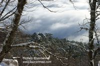 DSC00916