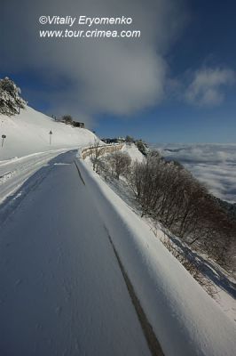 DSC00933