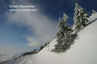 DSC00964