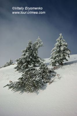 DSC00965