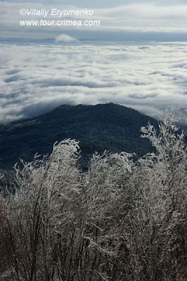 DSC00968