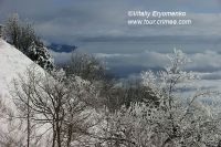 DSC00969