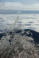 DSC00973