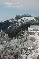 DSC00981