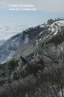 DSC00987