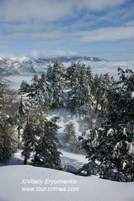 DSC01211