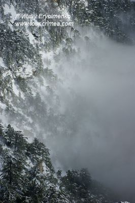 DSC01241