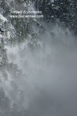 DSC01243