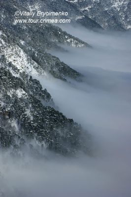 DSC01244